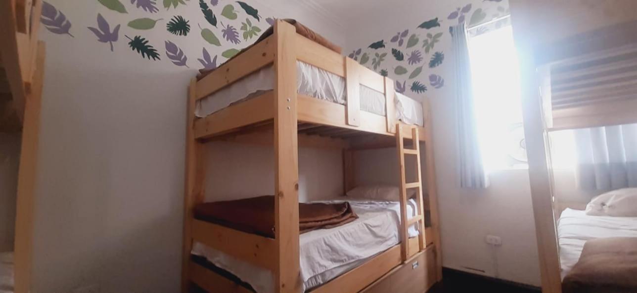Quinoa Backpackers Auberge de jeunesse Lima