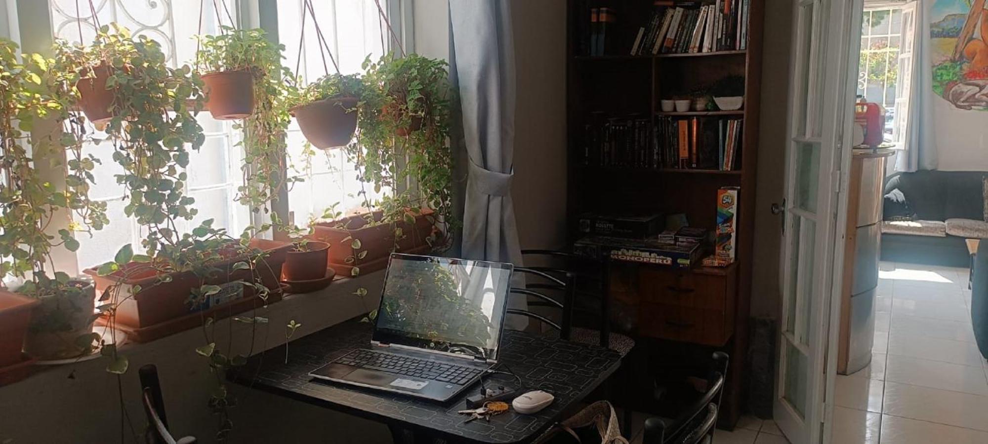 Auberge de jeunesse Quinoa Backpackers *