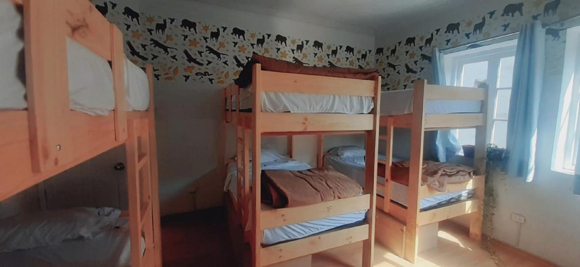 Auberge de jeunesse Quinoa Backpackers