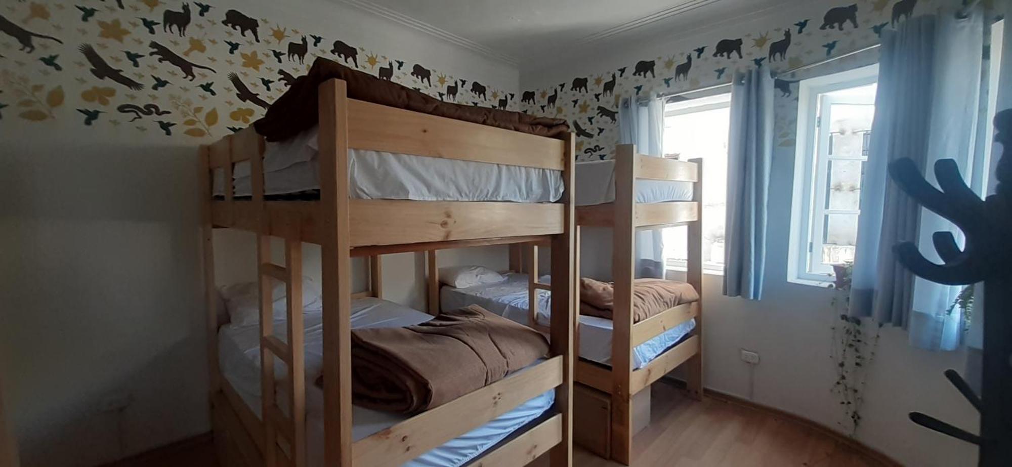 Quinoa Backpackers Auberge de jeunesse