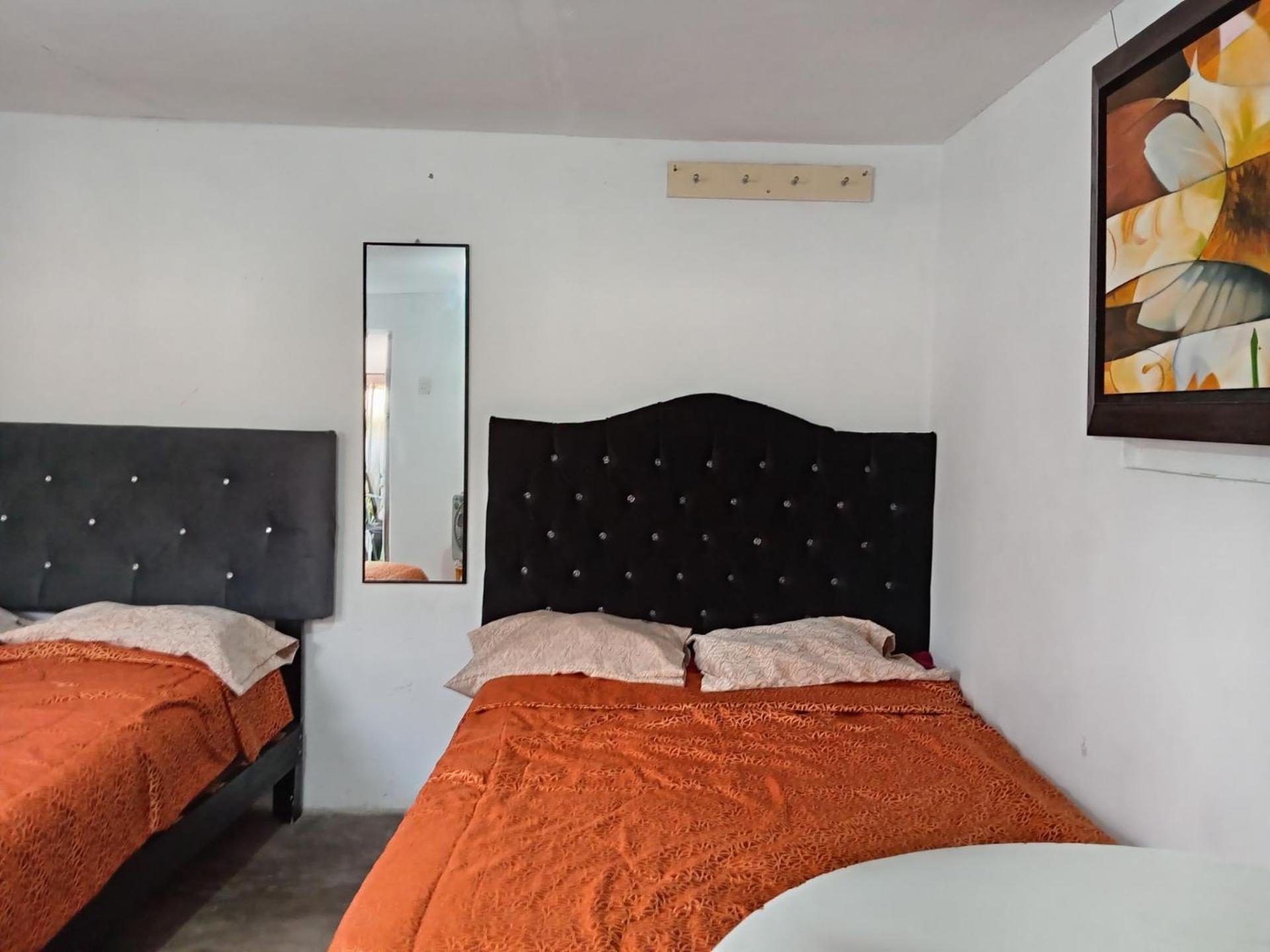 Auberge de jeunesse Quinoa Backpackers